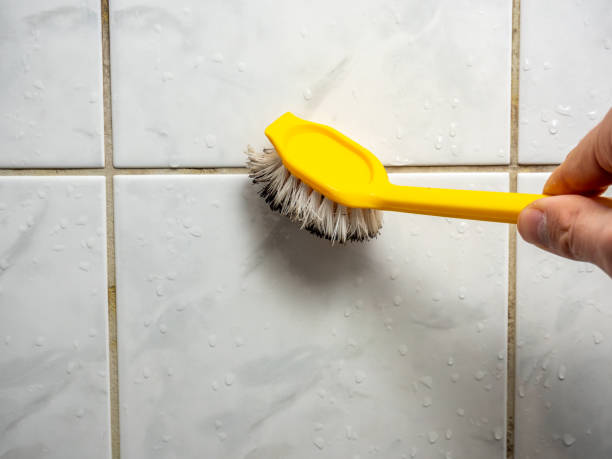 Best Fast Mold Removal  in Macom, IL
