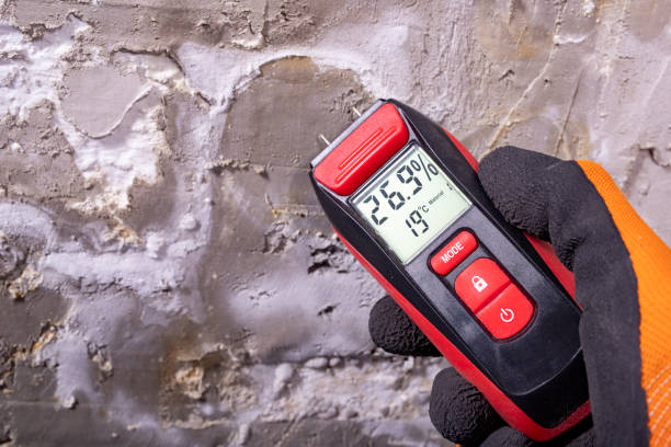 Best Mold Remediation  in Macom, IL