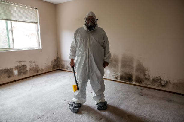 Best Crawl Space Mold Removal  in Macom, IL